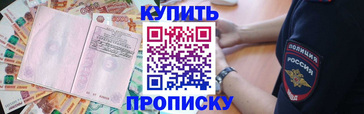 временная регистрация поиск в Благовещенске